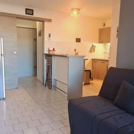 公寓 2 Pieces Cap D'agde Ct045-151 阿格德